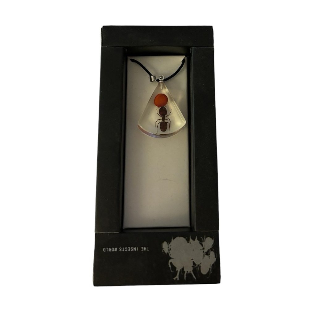 Adjustable Necklace with a Real Ant & Lucky Bean Resin Casted in Clear …